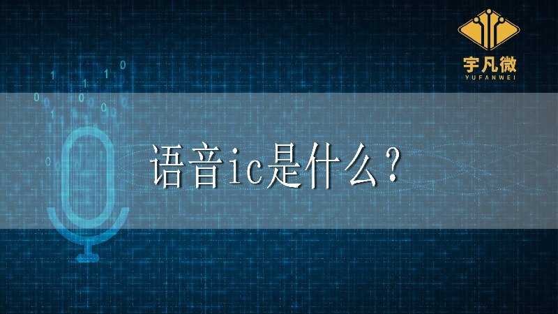 語音ic是什么？
