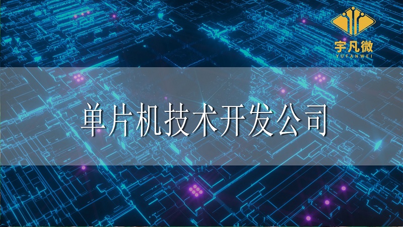 單片機技術(shù)開發(fā)公司和生產(chǎn)商的區(qū)別